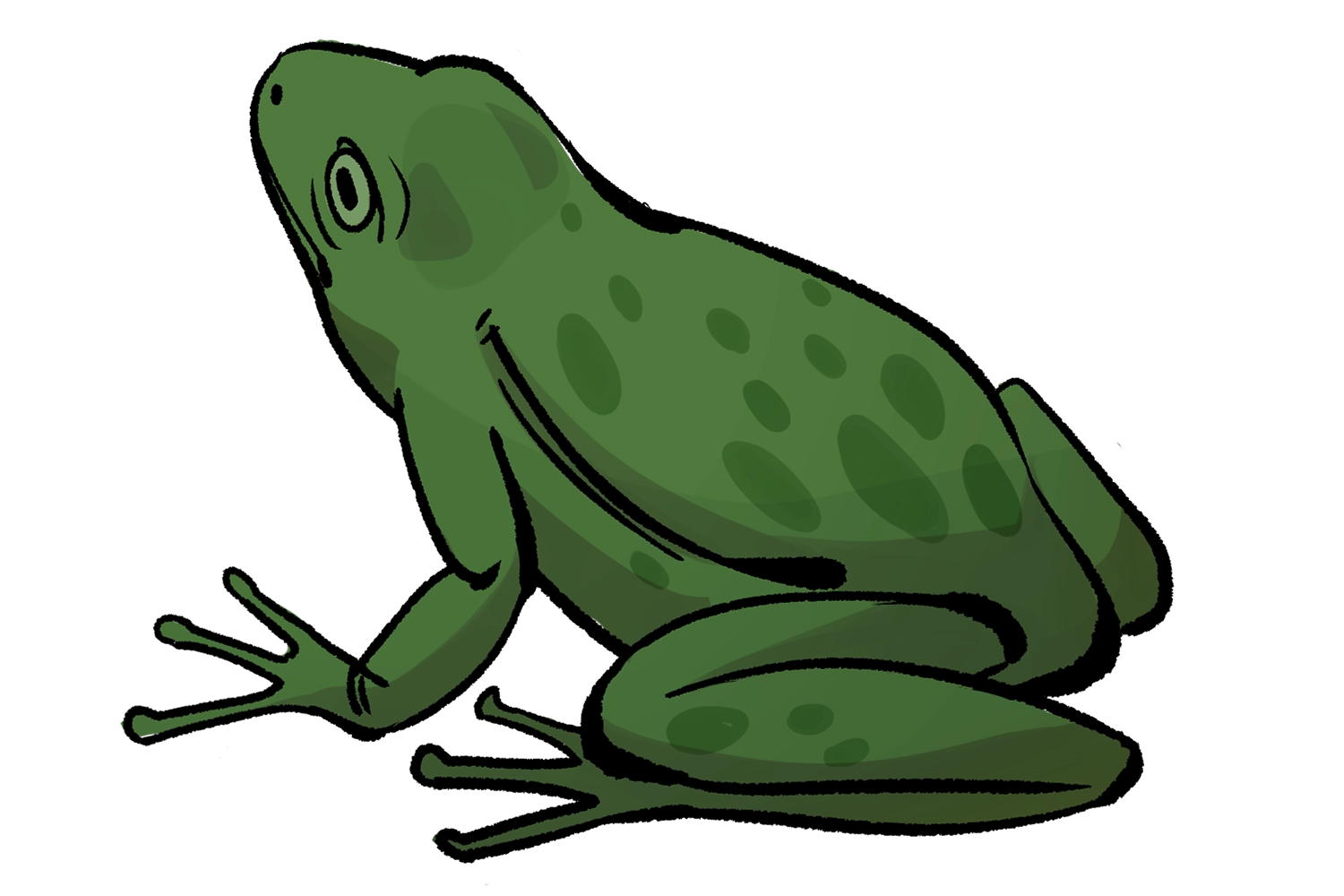 Зеленая лягушка